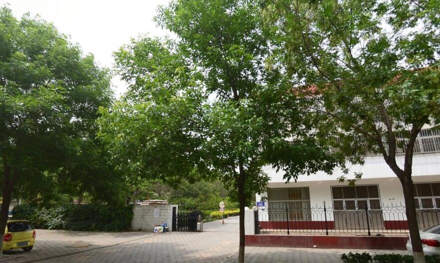 国税局家属院
