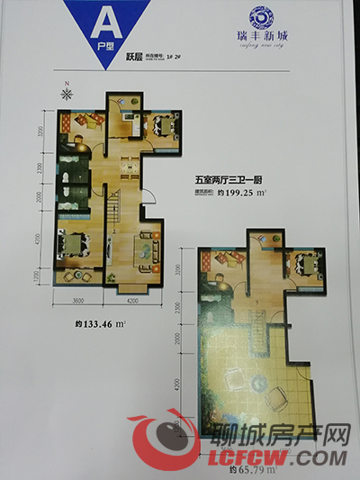 莘县人口_莘县地图(3)